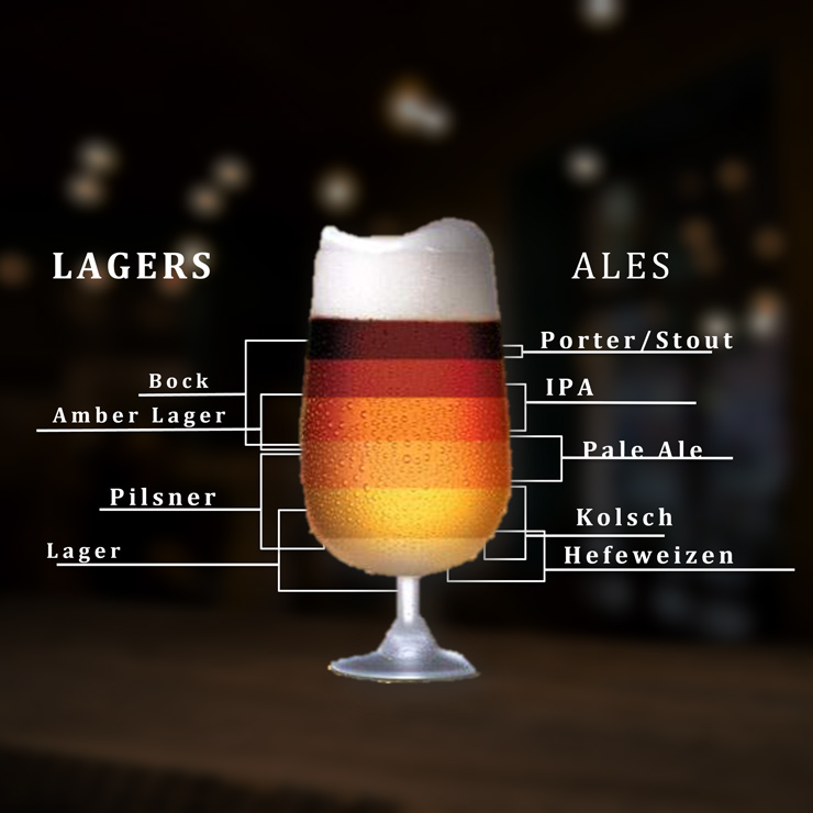 Beer Styles Anheuser Busch Draught beer-styles-anheuser-busch-draught