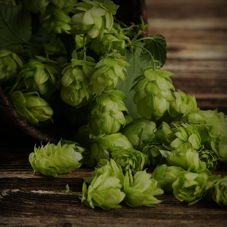 Beer Styles - Anheuser Busch Draught